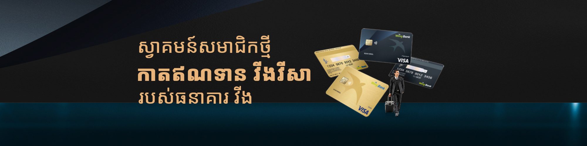 Visa-Web-slider (2)